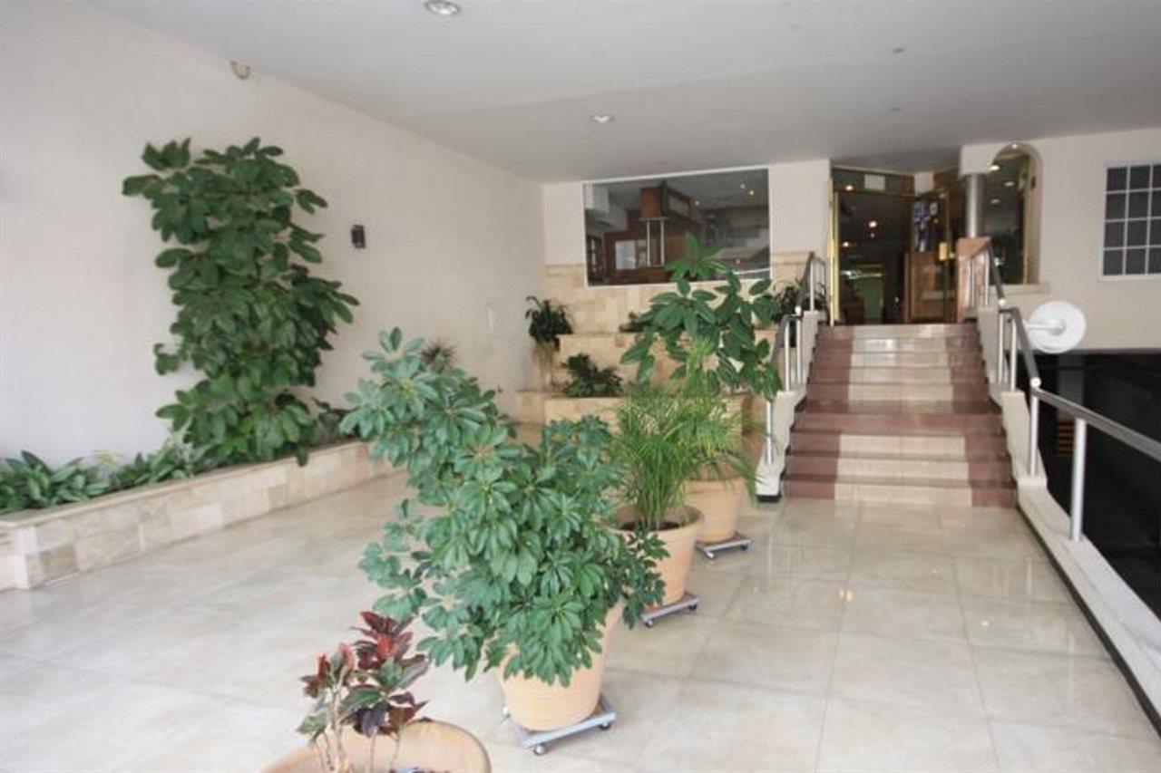 Hotel Mision León Esterno foto